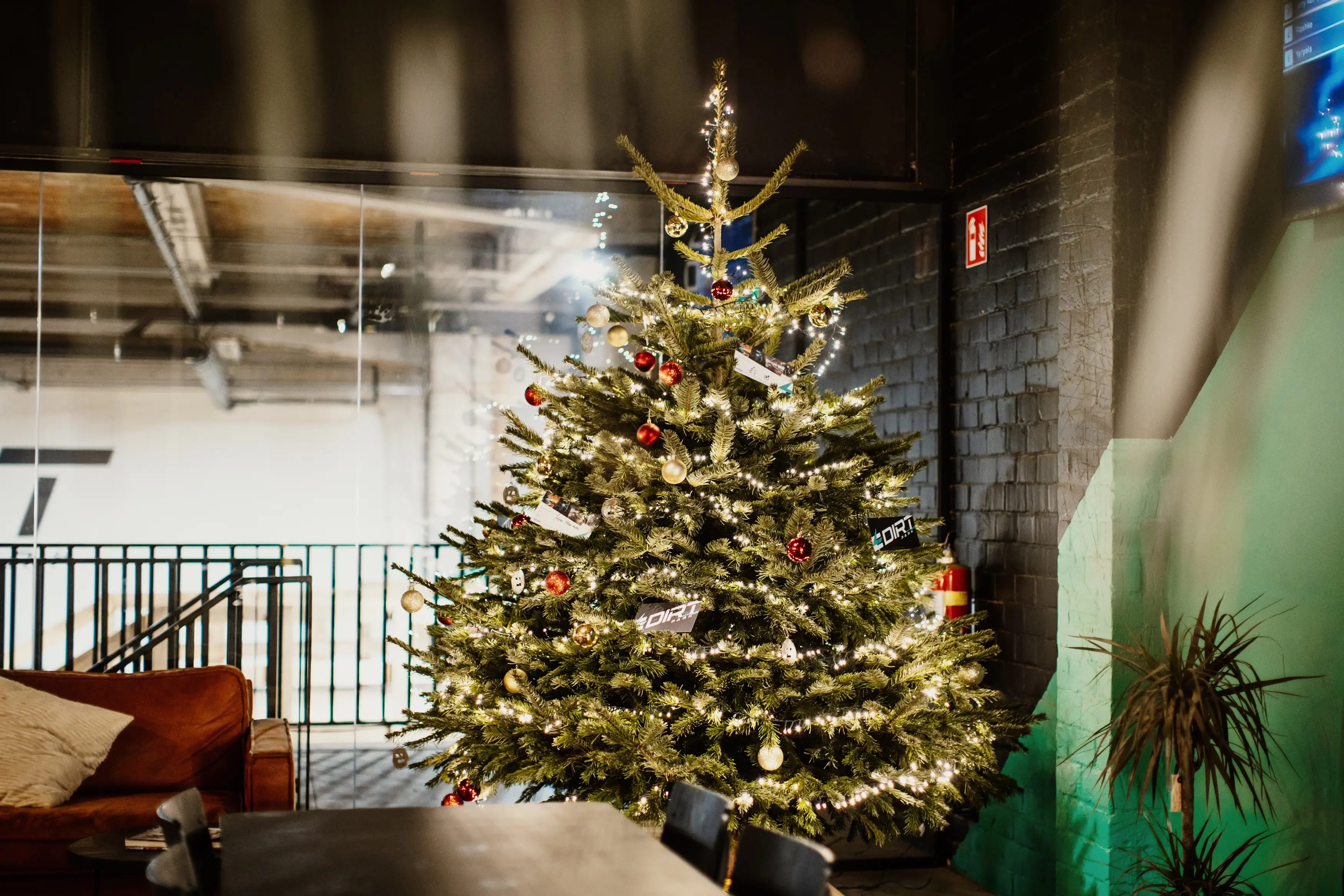Grote kerstboom voor bedrijven en evenementen